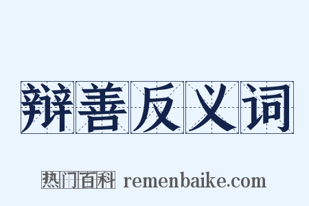 辩善反义词是什么意思的图片